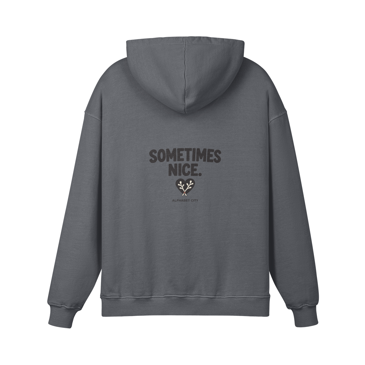 Good&Bad Heavyweight Pullover Hoodie in Carbon Gray, back view